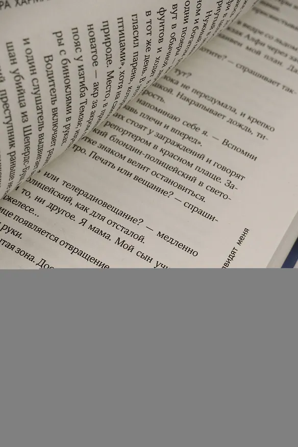 Книга Все матери ненавидят меня (Сара Харман) — 12