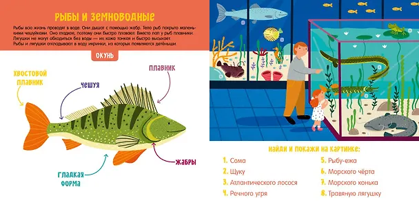 Книга Животные. Визуальный словарь (Анна Парамонова) — 5