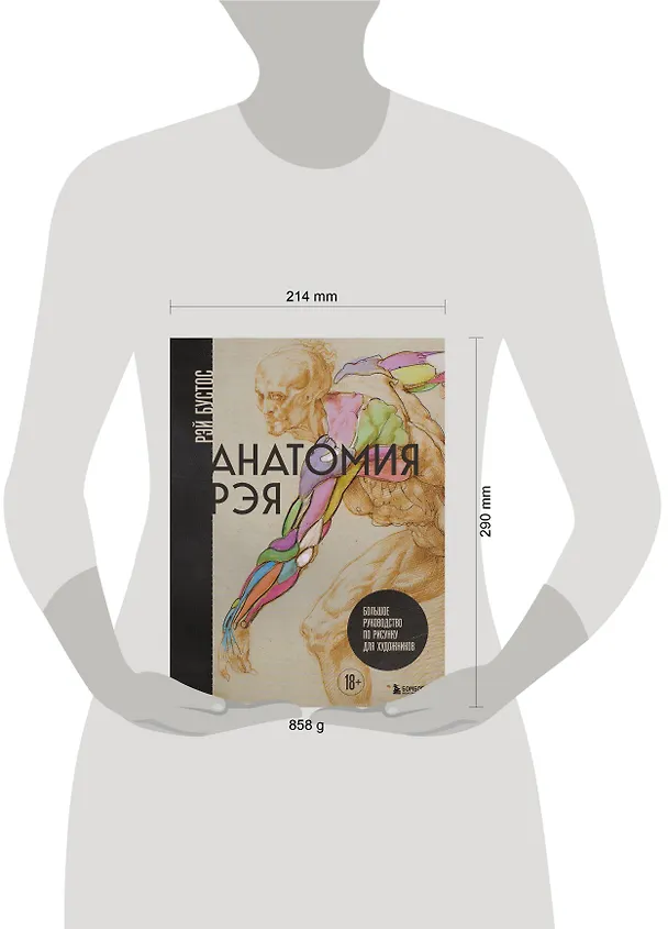 Книга Анатомия Рэя. Большое руководство по рисунку для художников (Рэй Бустос) — 13