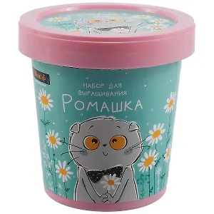 Набор для выращивания Басик (Ромашка) (НВ2021-29)