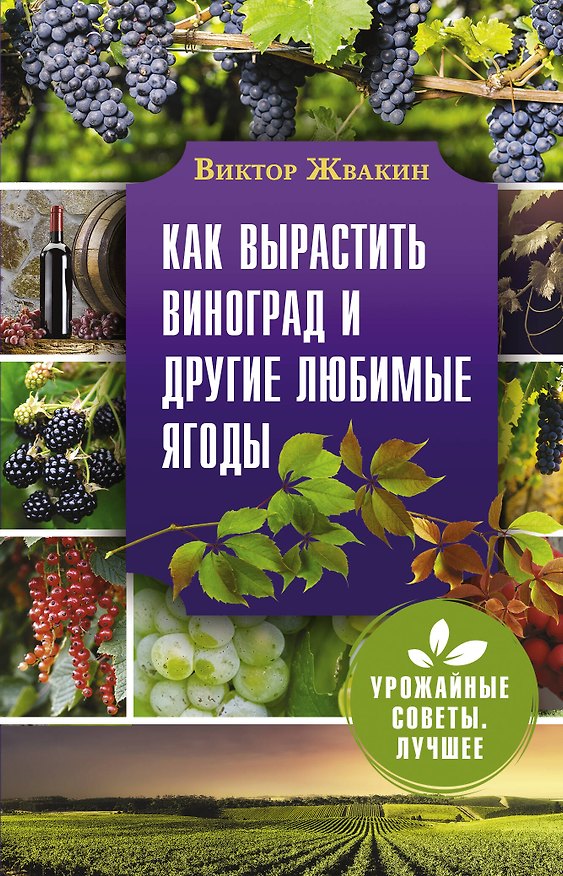 Книга Как вырастить виноград и другие любимые ягоды. Простые и понятные инструкции для начинающих (Виктор Жвакин) — 1