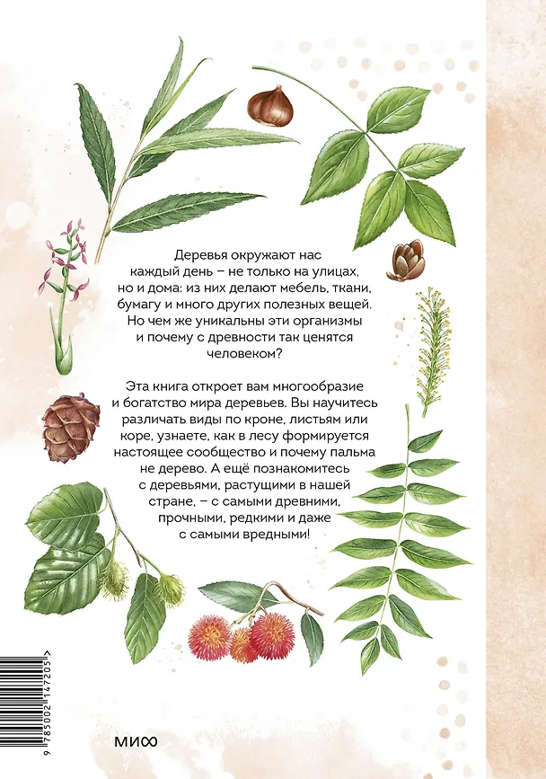 Книга Деревья. Атлас-определитель (Алексей Бондарев) — 2