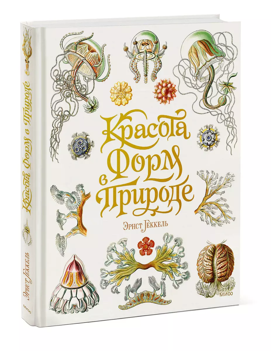 Красота форм в природе (Эрнст Геккель) - купить книгу с доставкой в  интернет-магазине «Читай-город». ISBN: 978-5-00214-024-4