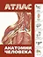 Атлас анатомии человека(инт.пер.) — 2271858 — 1