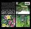 Лучшие сады и парки мира. Архитектура, дизайн и цветы. Календарь. Садово-парковое искусство — 2345792 — 2