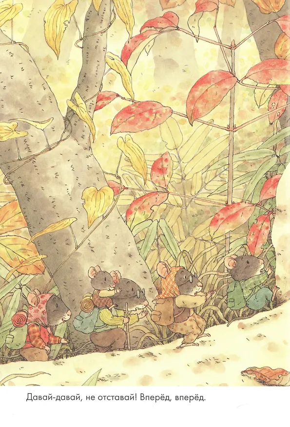 Книга 14 лесных мышей. Переезд (Кадзуо Ивамура) — 4