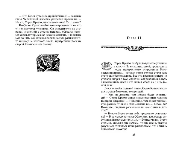 Книга Солнечный путь (Эрин Хантер) — 12