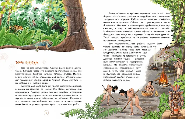 Книга Майя. Строители пирамид и изобретатели ноля (Елена Литвяк) — 5