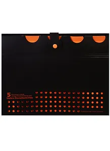 Папка А4 на кнопке, 5 отделений