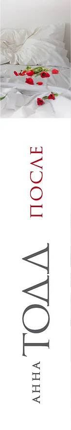 Книга После (Анна Тодд) — 3