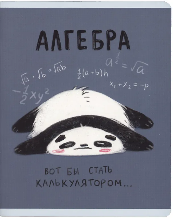 Тетради 48 листов 10 штук "Панда" 3044284 — 5