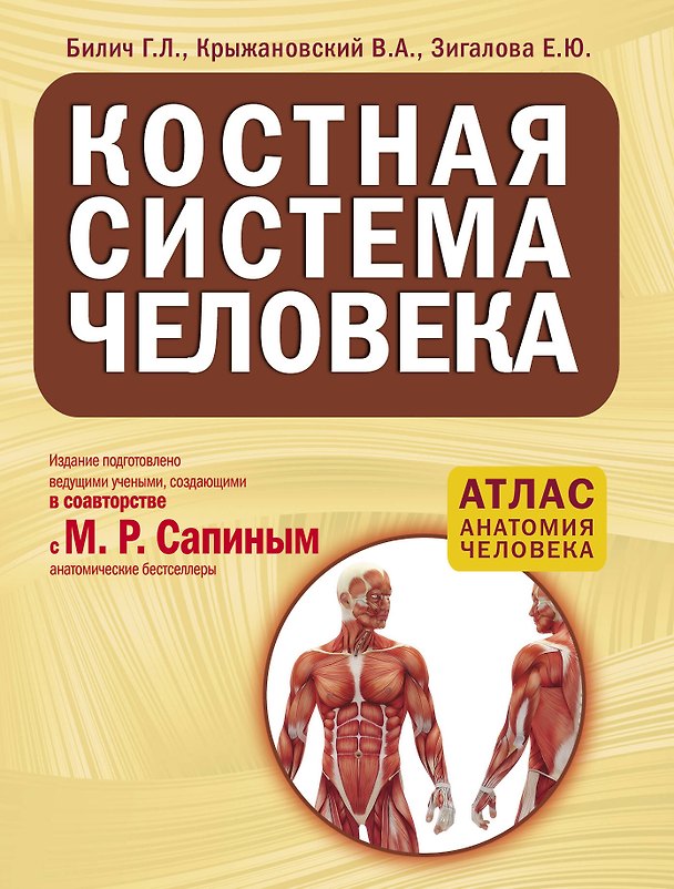 Книга Костная система человека (Габриэль Билич) — 1