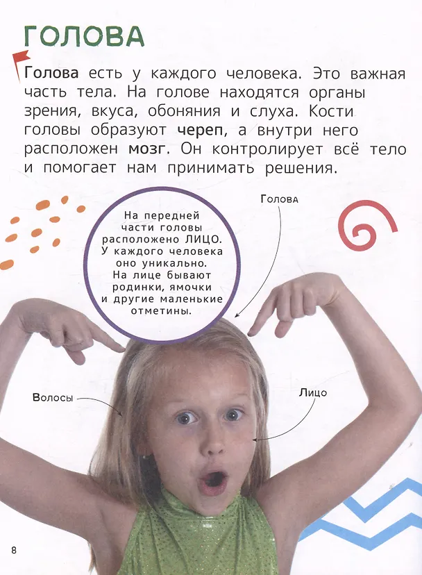 Книга Человек. Энциклопедия для первого чтения с крупными буквами (Кира Тяжелкова) — 7