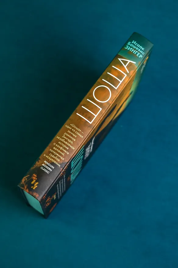 Книга Шоша (Исаак Башевис Зингер) — 11