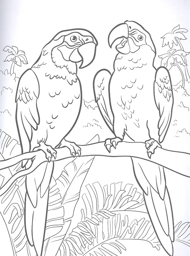 Книга Лучшая раскраска! Животные () — 2