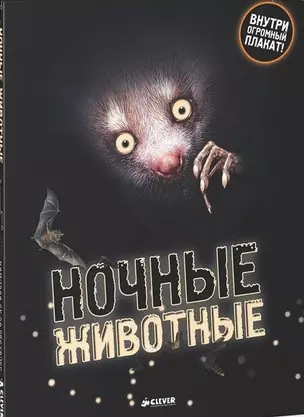 Ночные животные — 2438923 — 1