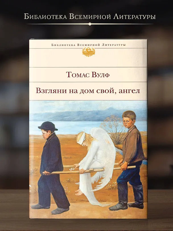 Книга Взгляни на дом свой, ангел (Томас Вулф) — 6