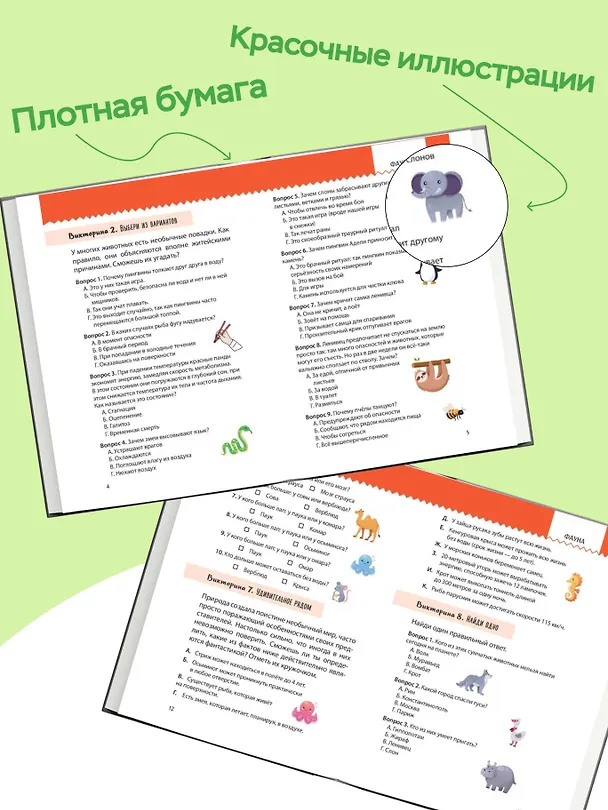 Книга Моя Земля. Книга увлекательных тестов о нашей удивительной планете (Юлия Шилова) — 6