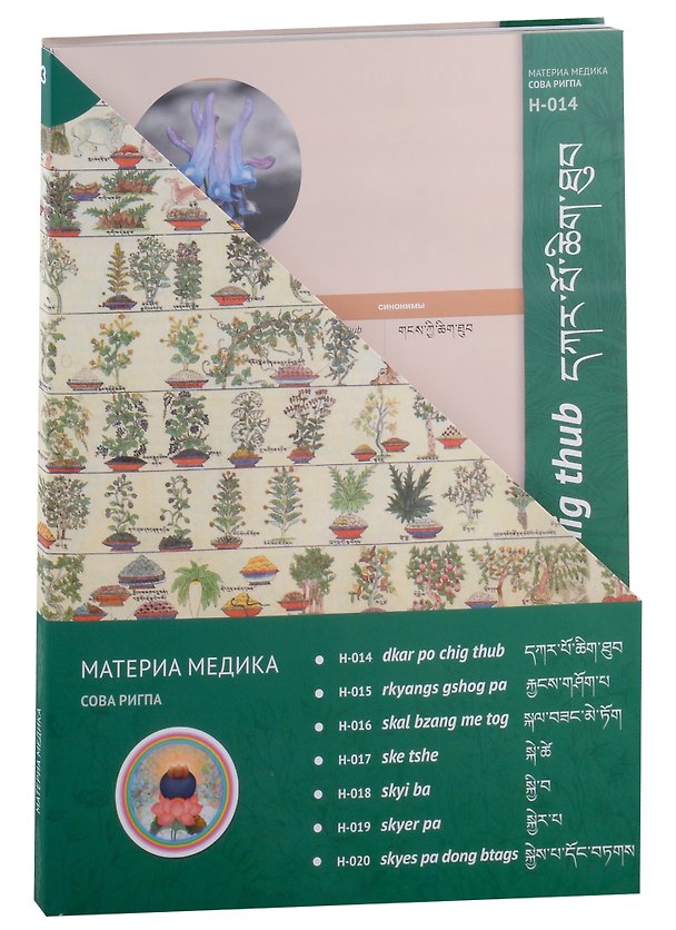 Книга Карточки Материя Медика Комплект №3 () — 1