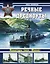 Речные дредноуты. Мониторы типа "Шквал". — 2334957 — 1