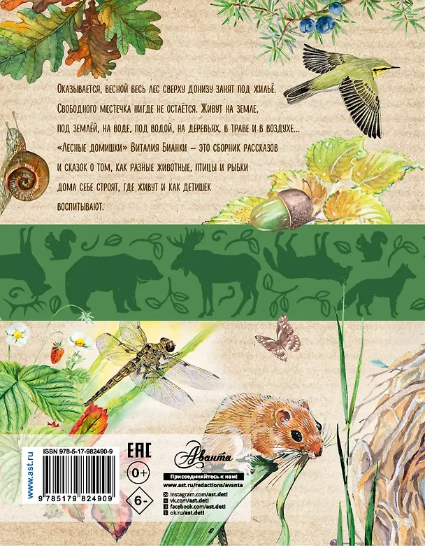 Книга Лесные домишки (Виталий Бианки) — 2