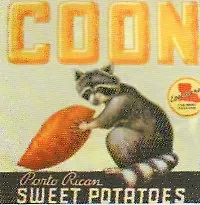 Картина Енот (14261) 2193206