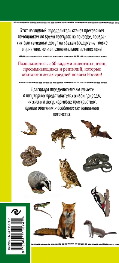 Книга Животные и птицы. Дикие обитатели русского леса. Наглядный карманный определитель (Михаил Куценко) — 2