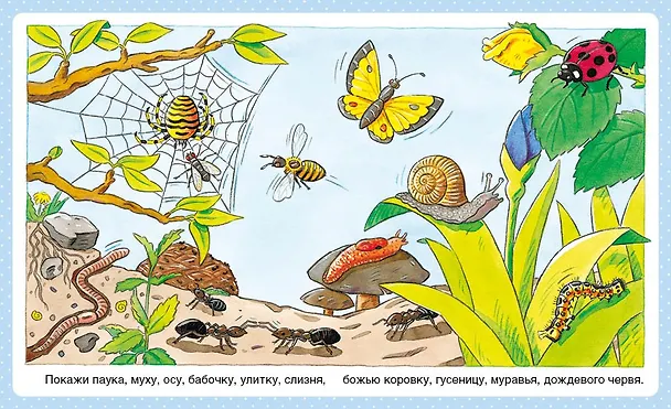 Книга Животные (Эмили Бомон) — 5