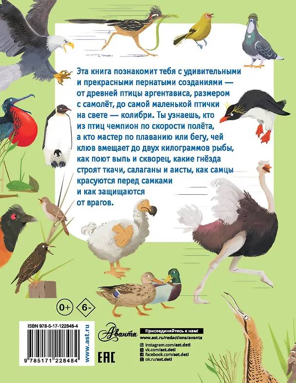 Книга Какие бывают птицы? () — 2