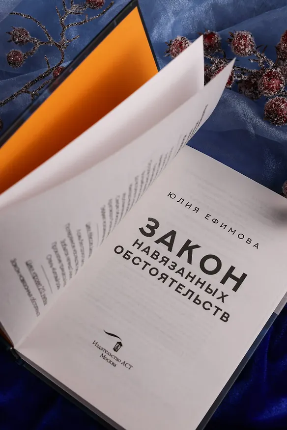 Книга Закон навязанных обстоятельств (Юлия Ефимова) — 11
