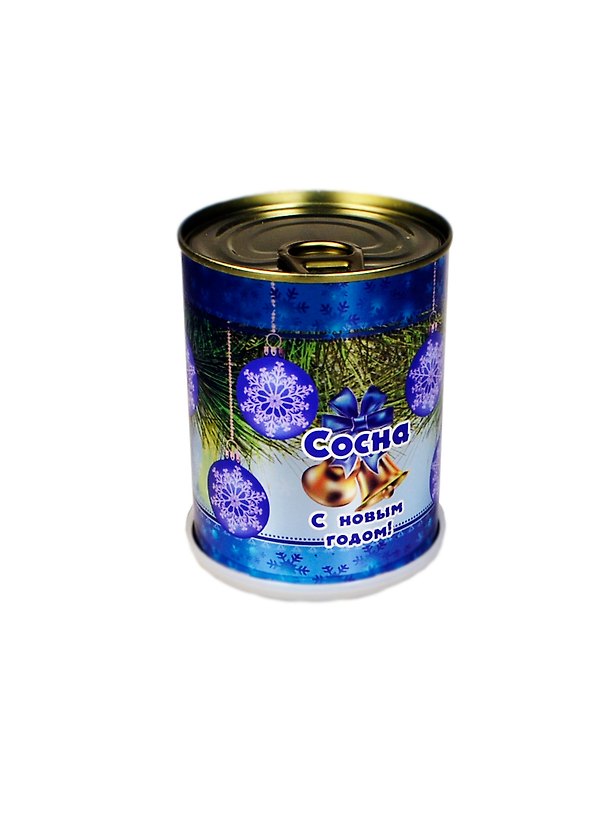 Растение в банке Новогодняя сосна 2393220 — 1