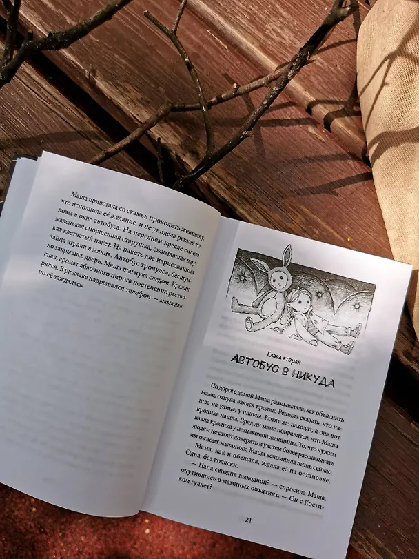 Книга Хроники Перепутья (Алиса Аве) — 13