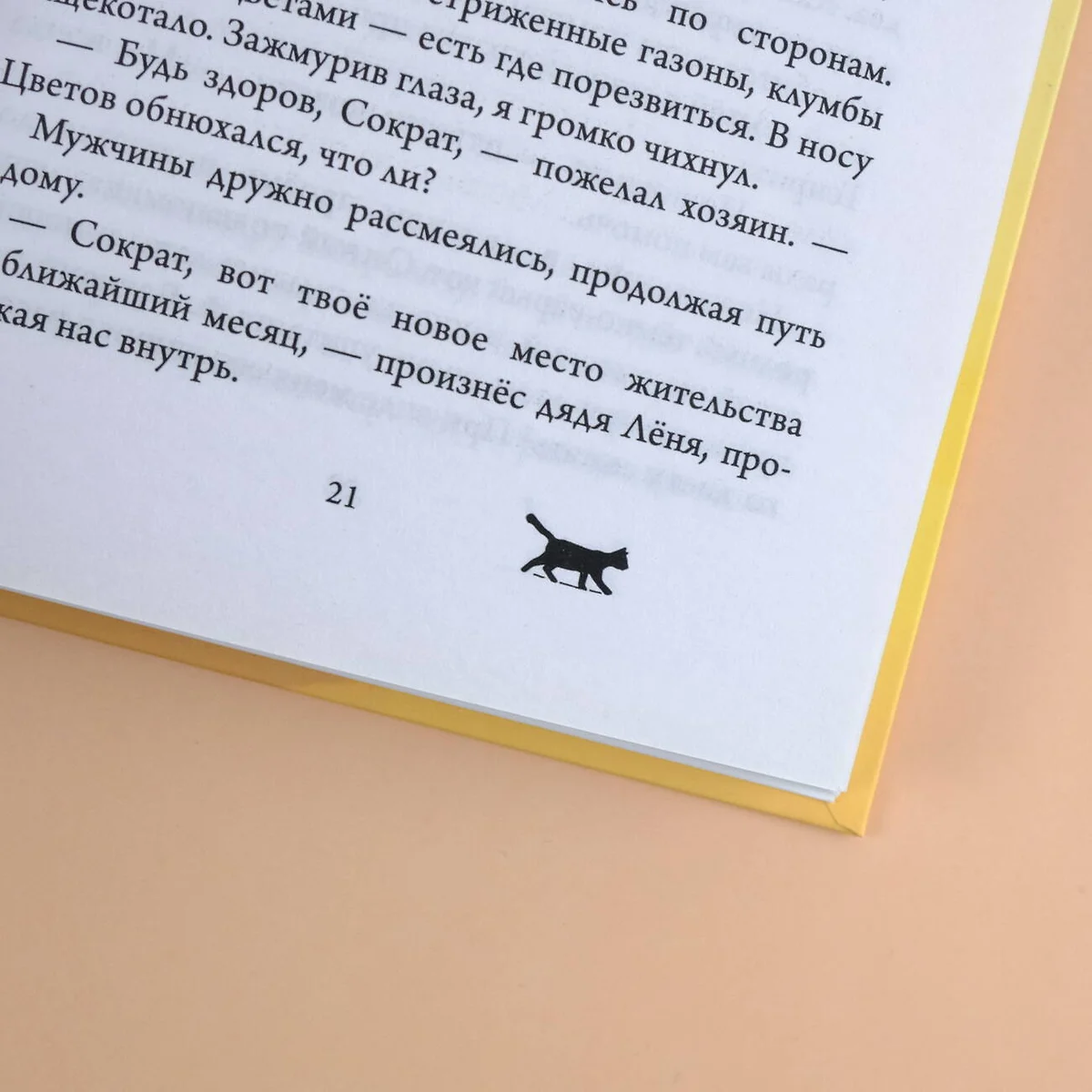 Подлинный Сократ (Михаил Самарский) - купить книгу с доставкой в  интернет-магазине «Читай-город». ISBN: 978-5-17-113239-2