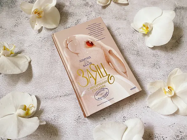Книга Заяц с янтарными глазами: скрытое наследие (Эдмунд де Вааль) — 4