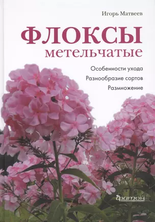 Флоксы метельчатые. Особенности ухода. Разнообразие сортов. Размножение — 2407719 — 1