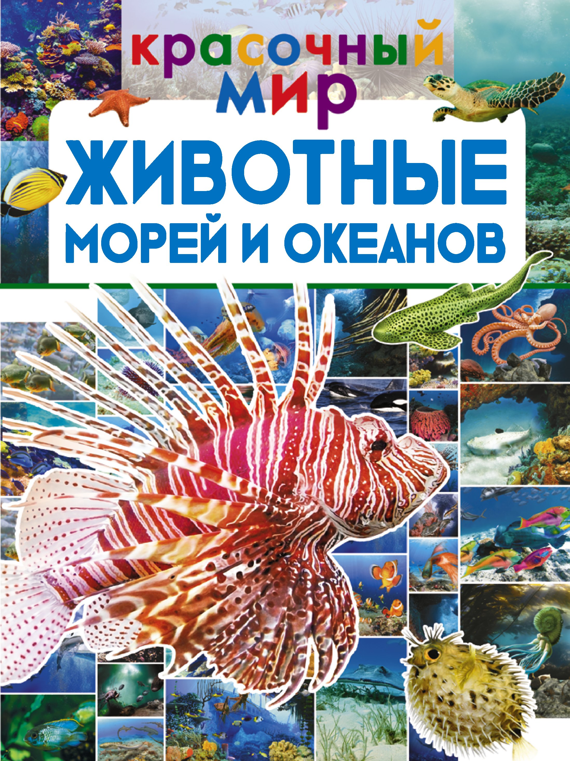 

Животные морей и океанов