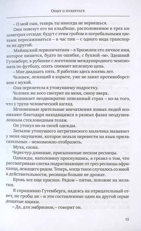 Книга ОПЫТ О ПУБЕРТАТЕ (Хуберт Фихте) — 6