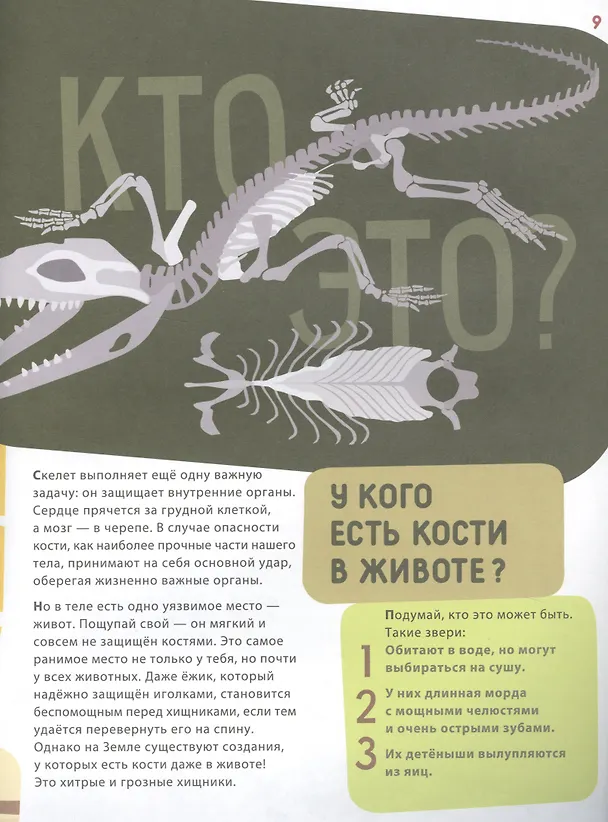 Книга Поразительные животные: кости и скелеты (Ксения Евдокимова) — 5