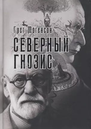 Северный Гнозис. Тор, Бальдр и Вёльсунги в мысли Фрейда и Юнга — 2818552 — 1