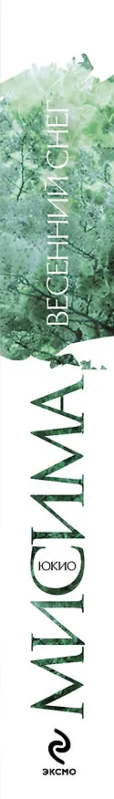 Книга Весенний снег (Юкио Мисима) — 3
