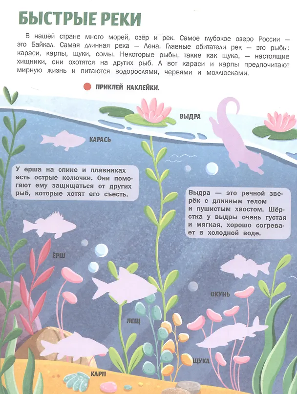 Книга Животные России: книжка с наклейками (Жанна Борода) — 5