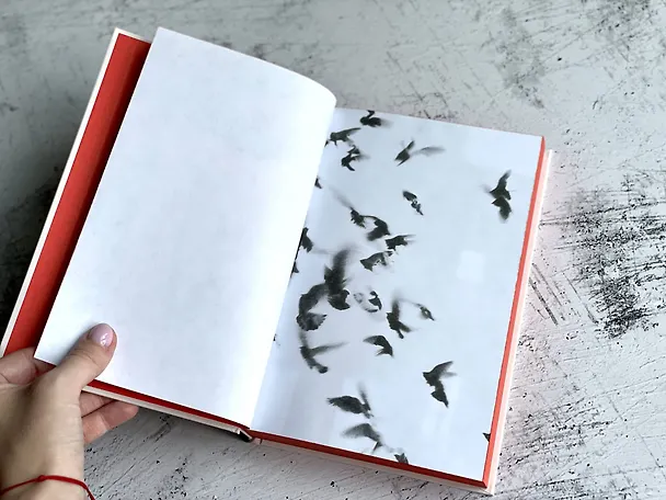 Книга Жутко громко и запредельно близко (Джонатан Фоер) — 10