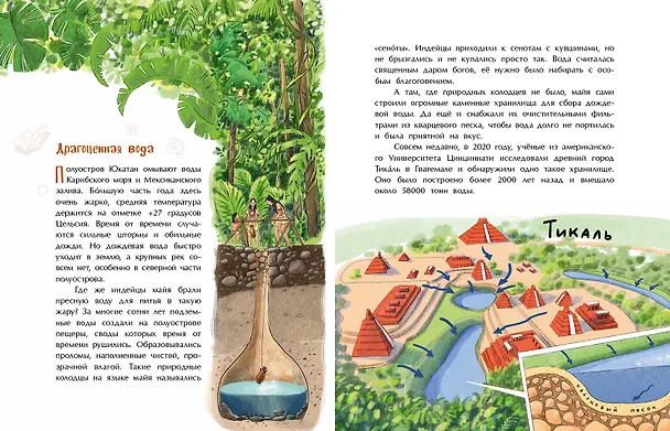 Книга Майя. Строители пирамид и изобретатели ноля (Елена Литвяк) — 4