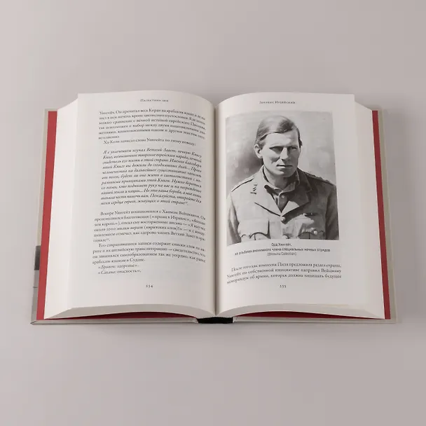 Книга Палестина 1936: «Великое восстание» и корни ближневосточного конфликта (Орен Кесслер) — 7
