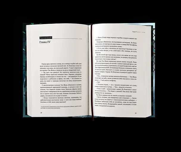 Книга Безмолвное чтение. Том 4 - Верховенский (Silent Reading). Новелла (Priest) — 11