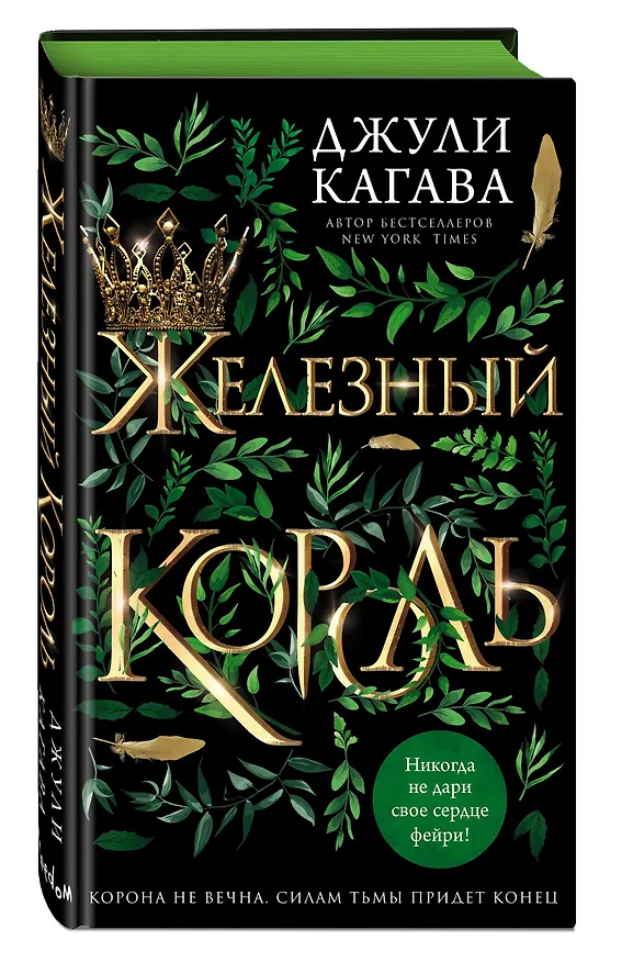 Книга Железный король (Джули Кагава) — 5