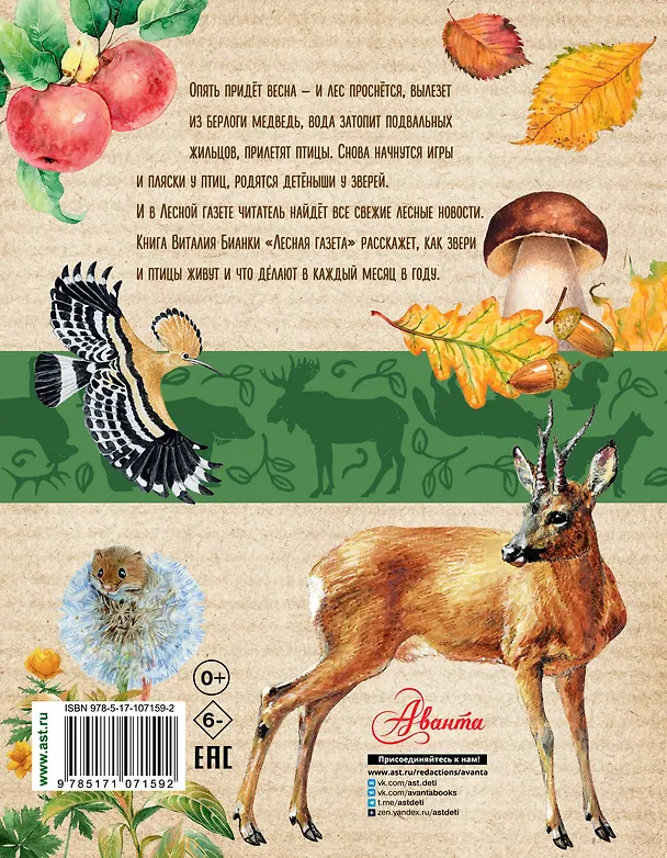 Книга Лесная газета (Виталий Бианки) — 2