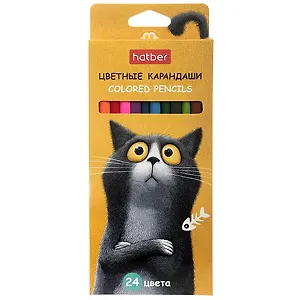Карандаши цветные 24цв "Пушистый философ" к/к, подвес