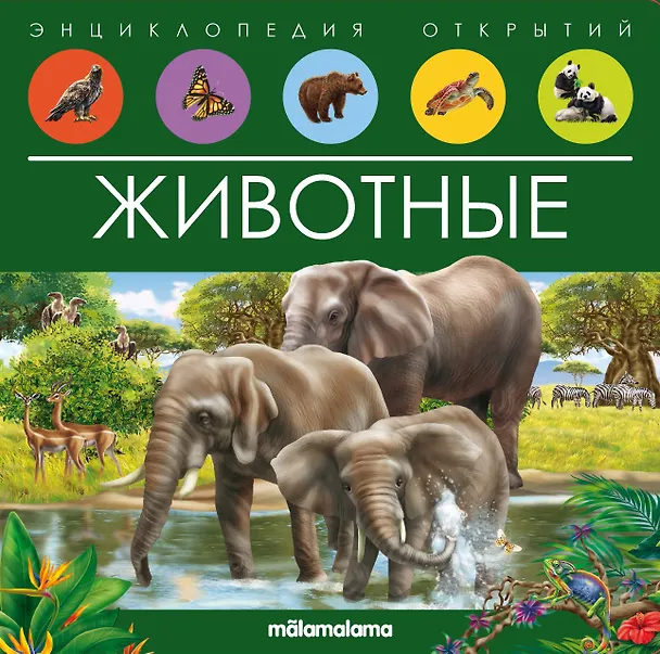 Книга Животные. Книжка-панорамка () — 1