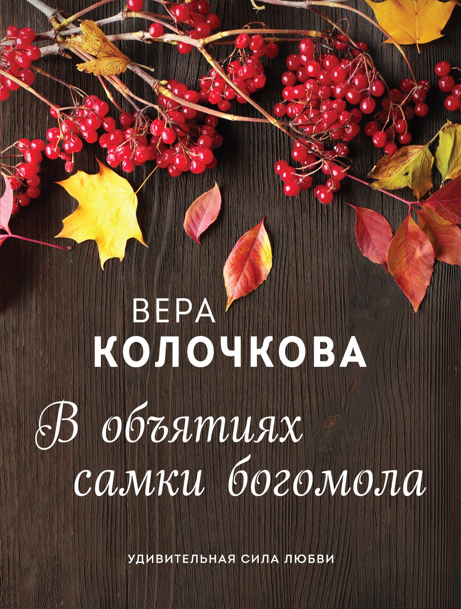 

В объятиях самки богомола